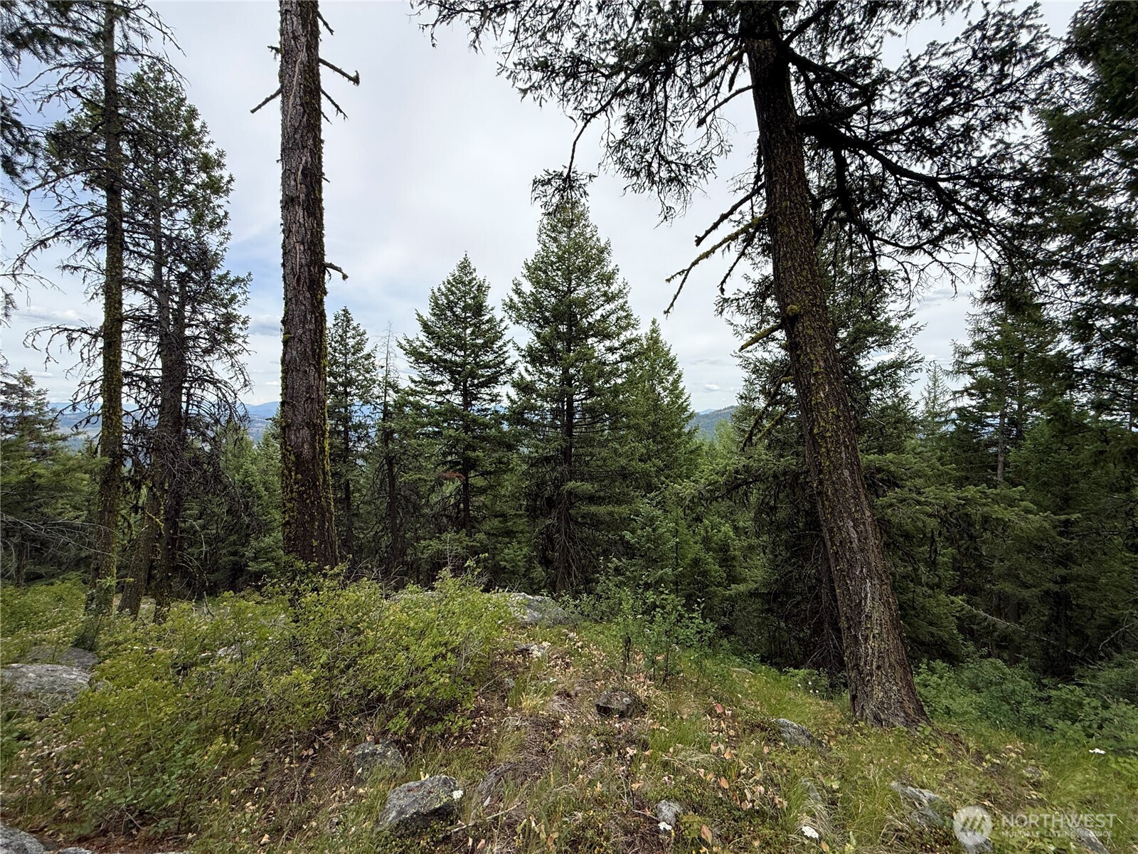 0 Mule Deer Road Republic, WA 99166 - Photo 15 of 20