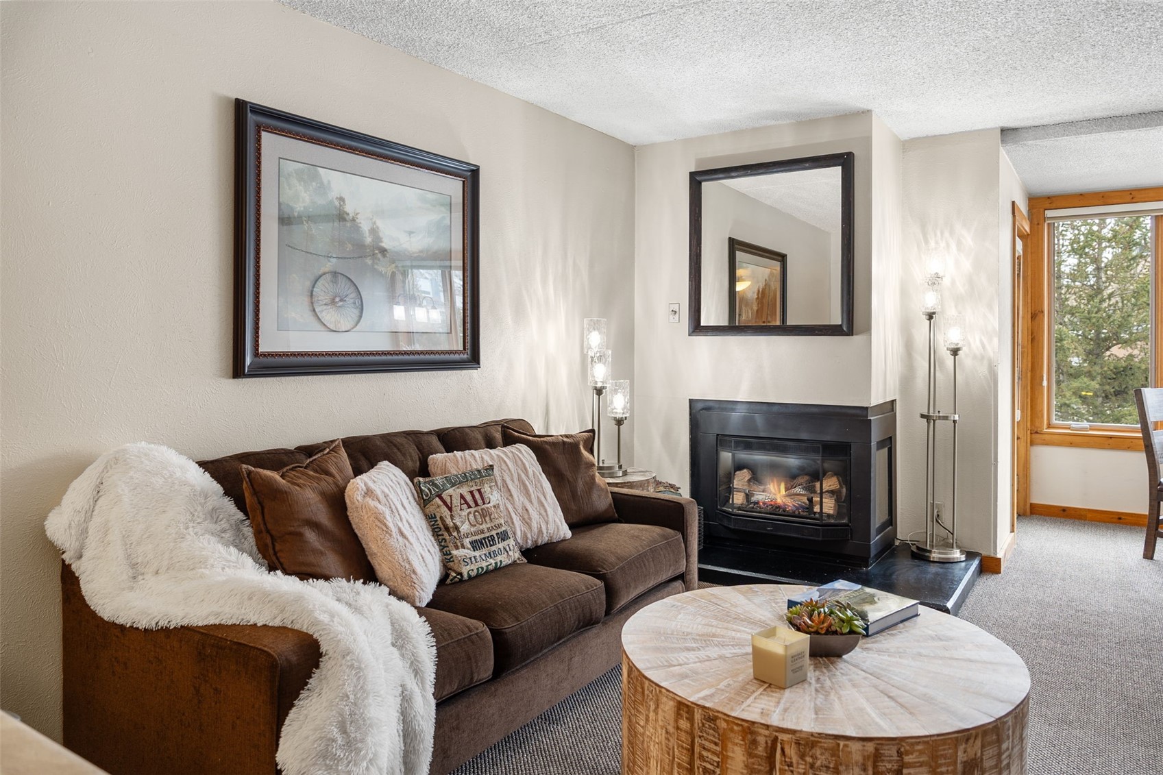88 Guller Road, Unit 206 Frisco, CO 80443 - Photo 6 of 32 Gas fireplace to keep you snuggly and warm!