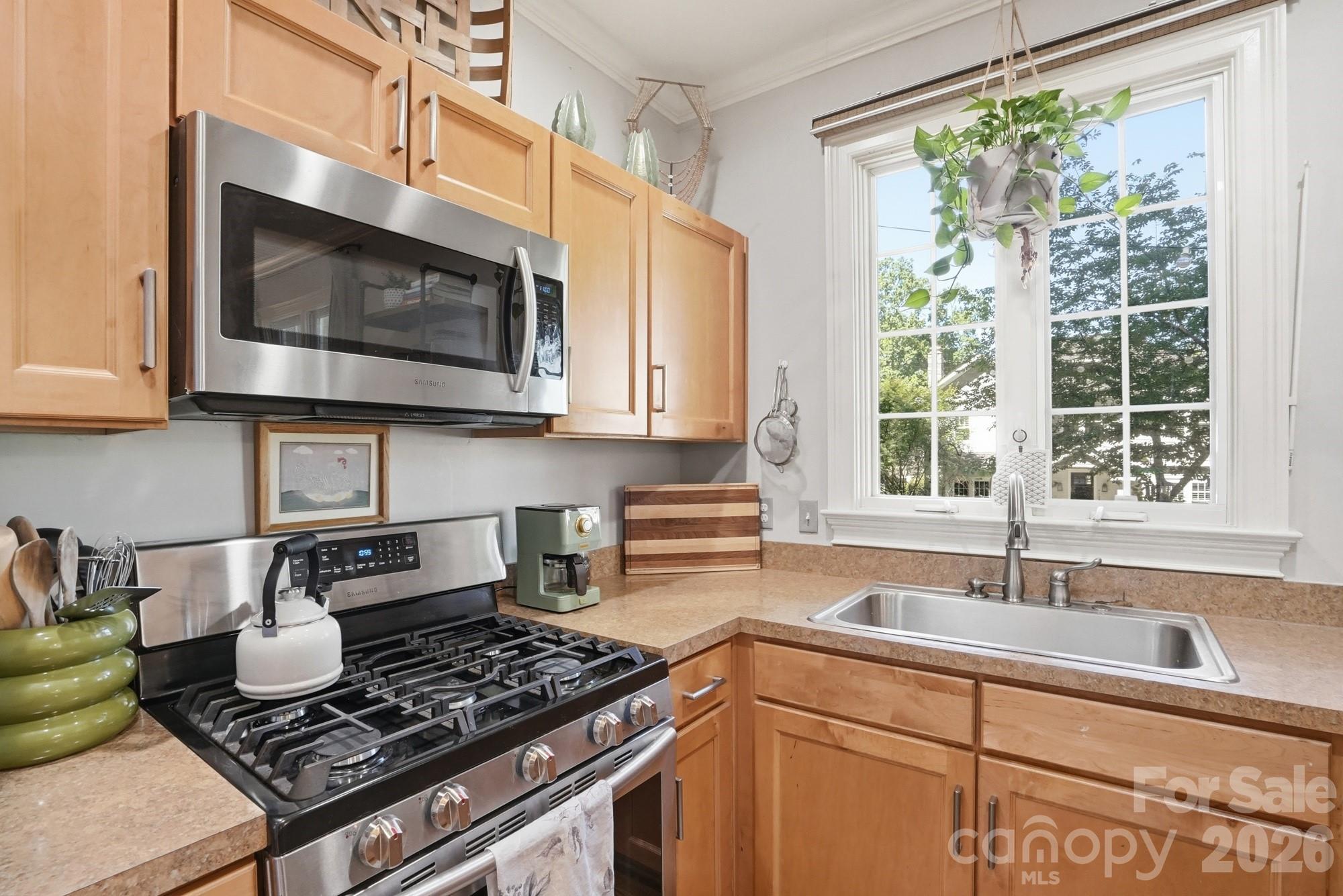 534 Spring Street Davidson, NC 28036 - Photo 18 of 47
