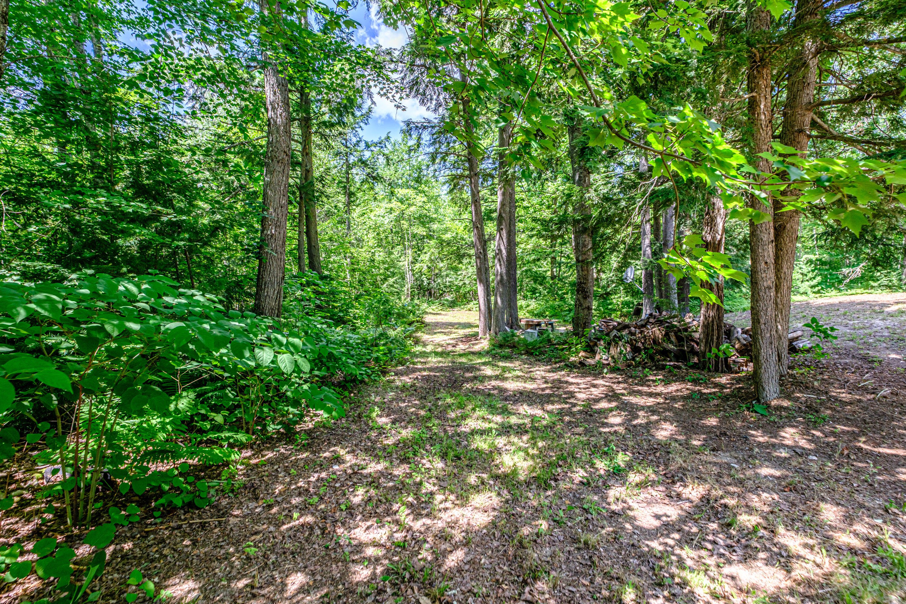 728 Bridgton Road Sebago, ME 04029 - Photo 56 of 57 20260724gp-60065