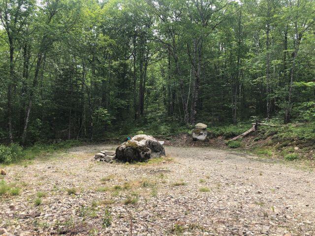 19 Foxtail Road Cherryfield, ME 04622 - Photo 29 of 43 RS-Cleared campsite