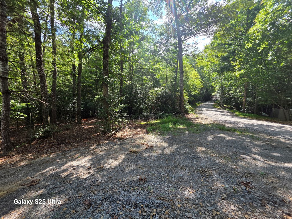 0 Rainy Farm Road Murphy, NC 28906 - Photo 2 of 4