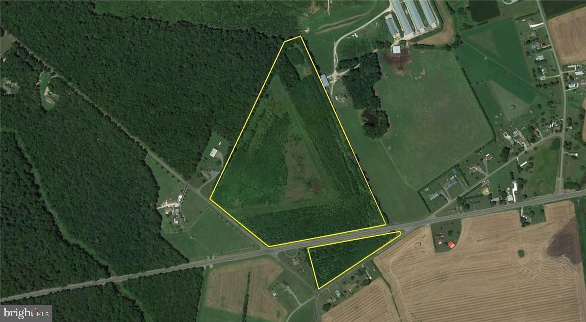 39-acres Vernon Road Harrington, DE 19952 - Photo 1 of 9 Gallery Image 1