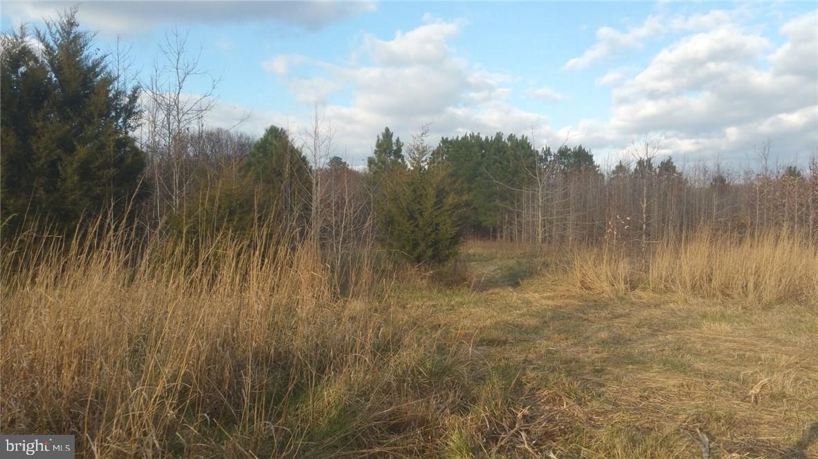 39-acres Vernon Road Harrington, DE 19952 - Photo 3 of 9 Gallery Image 3