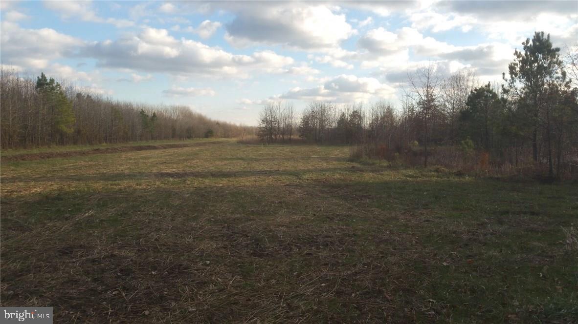 39-acres Vernon Road Harrington, DE 19952 - Photo 7 of 9 Gallery Image 7