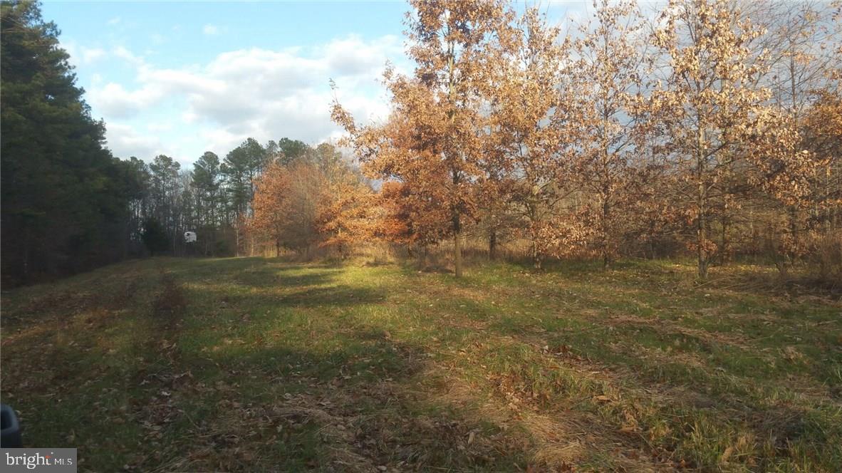 39-acres Vernon Road Harrington, DE 19952 - Photo 8 of 9 Gallery Image 8