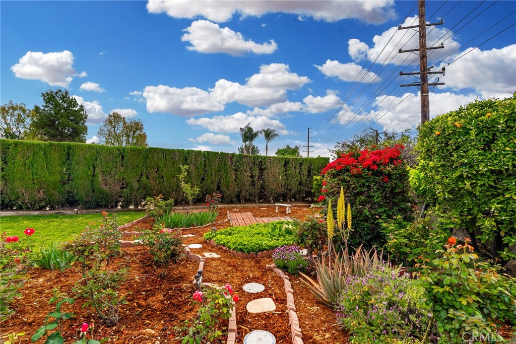 1902 East Eucalyptus Lane Brea, CA 92821 - Photo 34 of 41 a view of a yard with plants and large trees