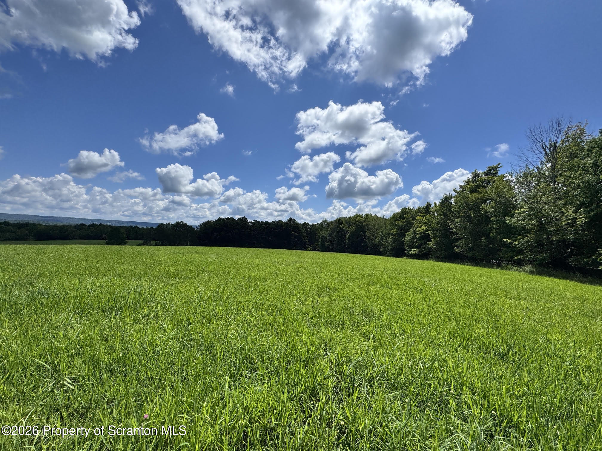 Franks Road Susquehanna, PA 18847 - Photo 6 of 12 66