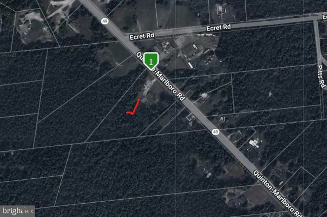 a close view of light