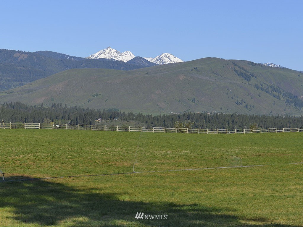 464 F Twisp-Winthrop Eastside Road Winthrop, WA 98862 - Photo 4 of 25 Gallery Image 4