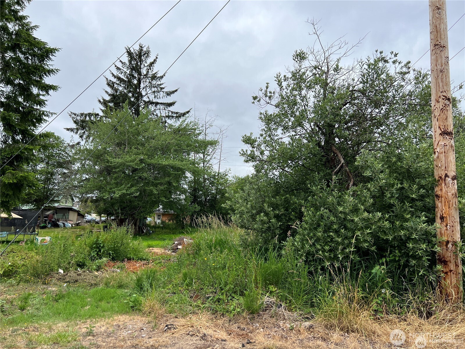 0 X Eight Street Raymond, WA 98577 - Photo 2 of 8 a view of a garden