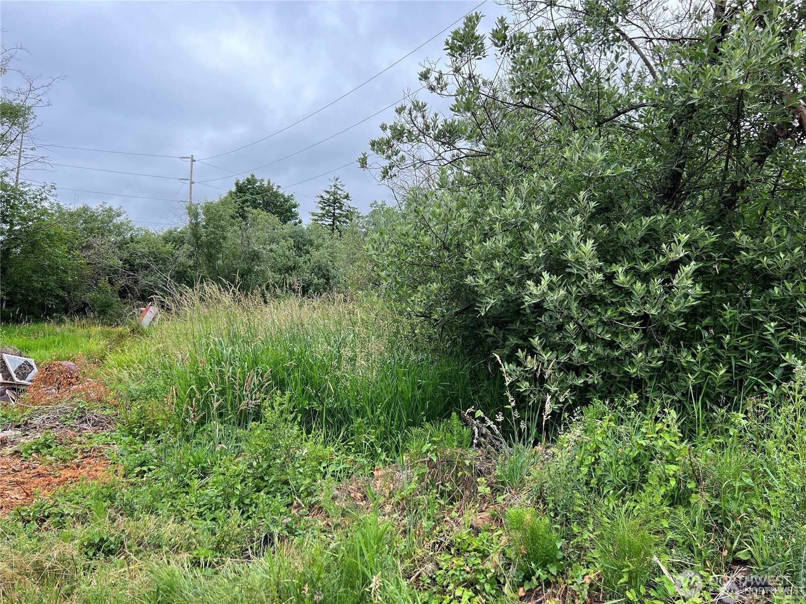 0 X Eight Street Raymond, WA 98577 - Photo 4 of 8 a view of a garden
