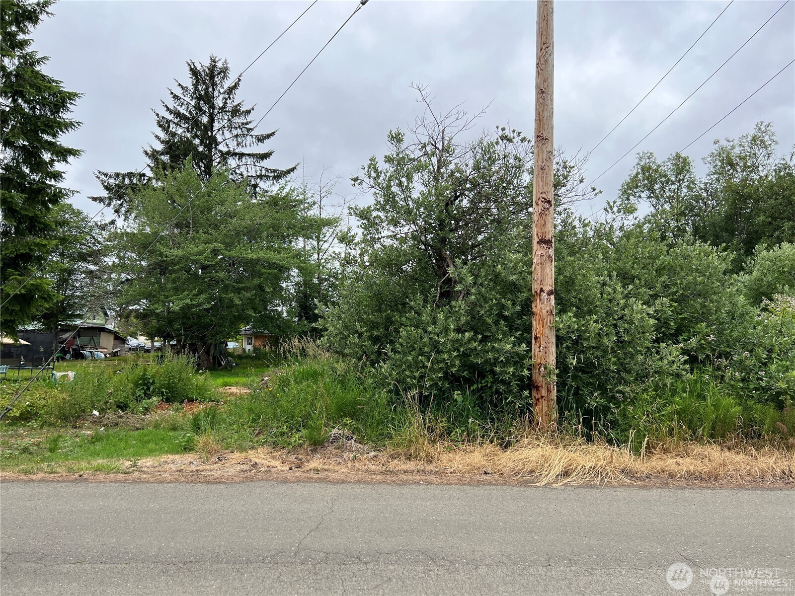 0 X Eight Street Raymond, WA 98577 - Photo 5 of 8 a street view with large trees