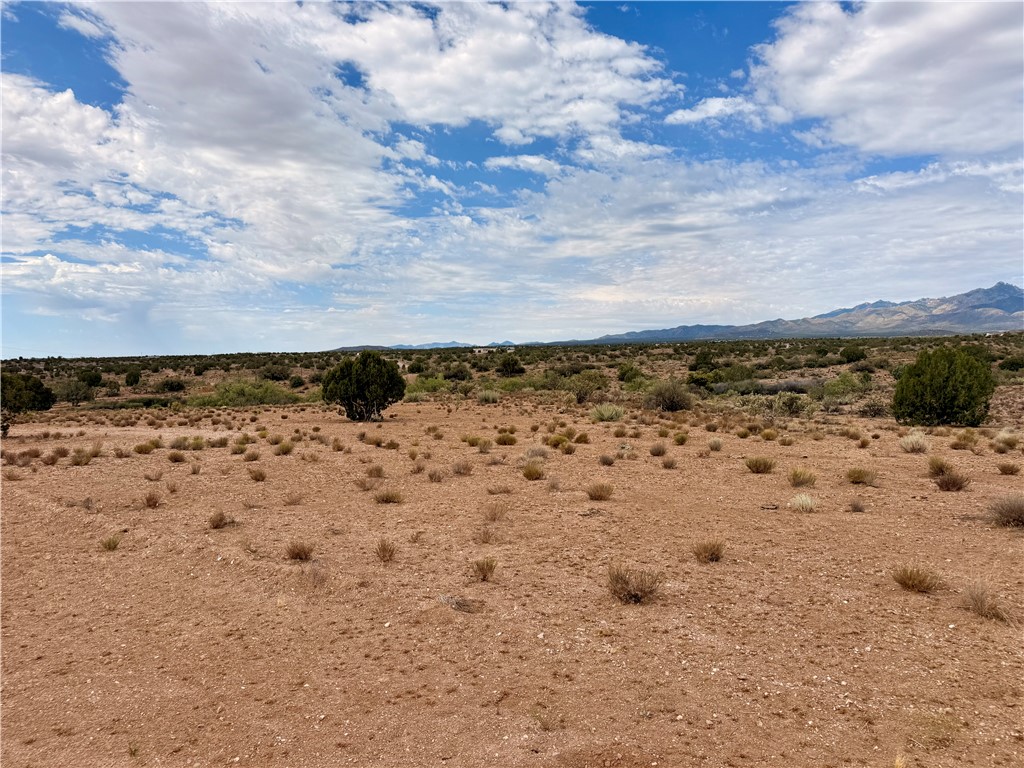11001 East Blake Ranch Road Kingman, AZ 86401 - Photo 34 of 35