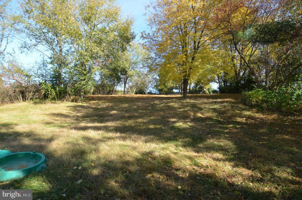6711 Garrett Road Derwood, MD 20855 - Photo 21 of 21 a view of a yard with a trees