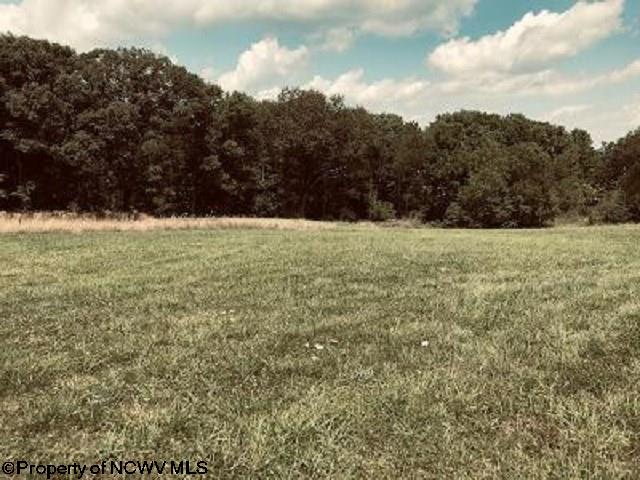 2841 McKinney Cave Road Reedsville, WV 26547 - Photo 7 of 7 Gallery Image 7