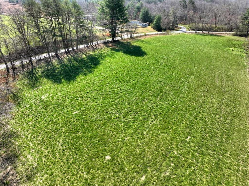 1489 Boy Scout Road Blairsville, GA 30512 - Photo 11 of 46
