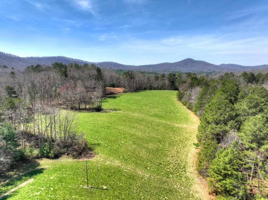 1489 Boy Scout Road Blairsville, GA 30512 - Photo 12 of 46