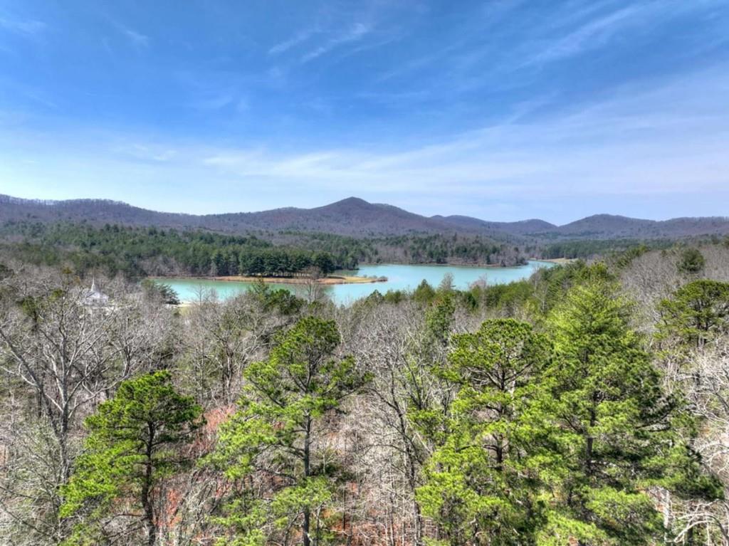 1489 Boy Scout Road Blairsville, GA 30512 - Photo 13 of 46
