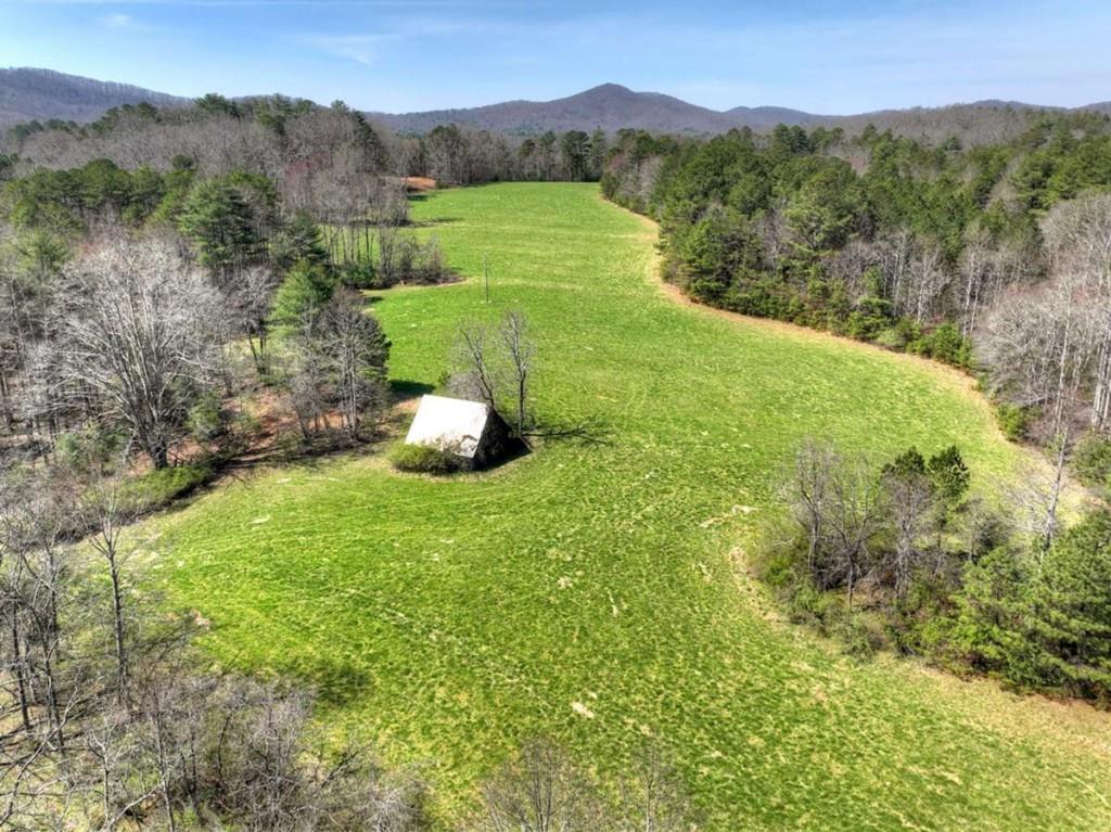 1489 Boy Scout Road Blairsville, GA 30512 - Photo 2 of 46