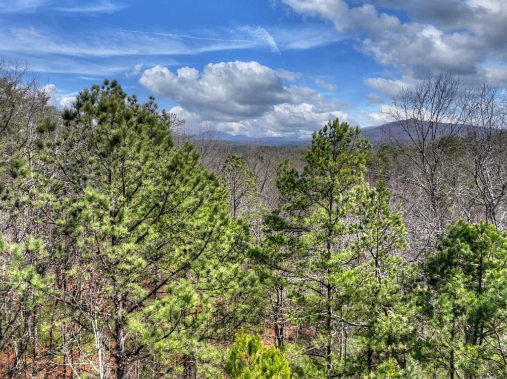1489 Boy Scout Road Blairsville, GA 30512 - Photo 22 of 46