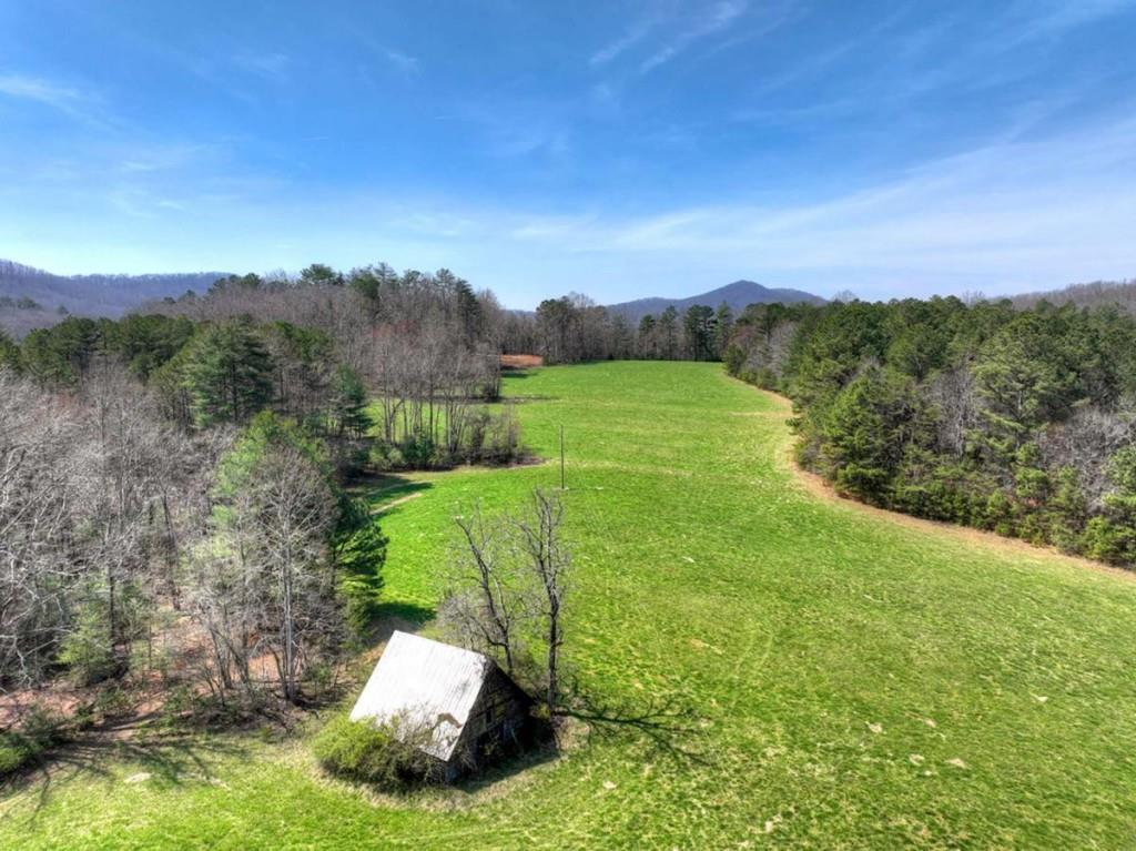 1489 Boy Scout Road Blairsville, GA 30512 - Photo 27 of 46