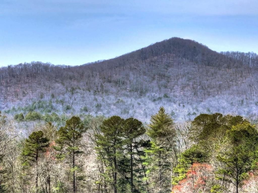 1489 Boy Scout Road Blairsville, GA 30512 - Photo 28 of 46