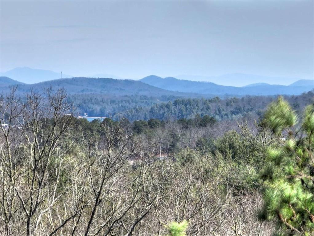 1489 Boy Scout Road Blairsville, GA 30512 - Photo 29 of 46