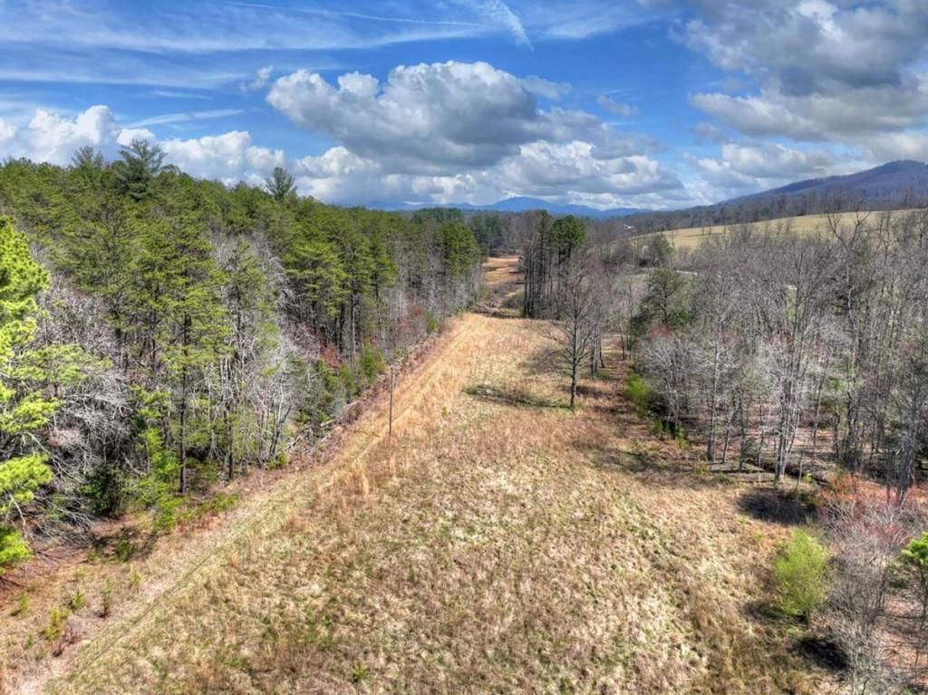 1489 Boy Scout Road Blairsville, GA 30512 - Photo 30 of 46