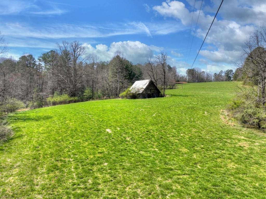 1489 Boy Scout Road Blairsville, GA 30512 - Photo 3 of 46