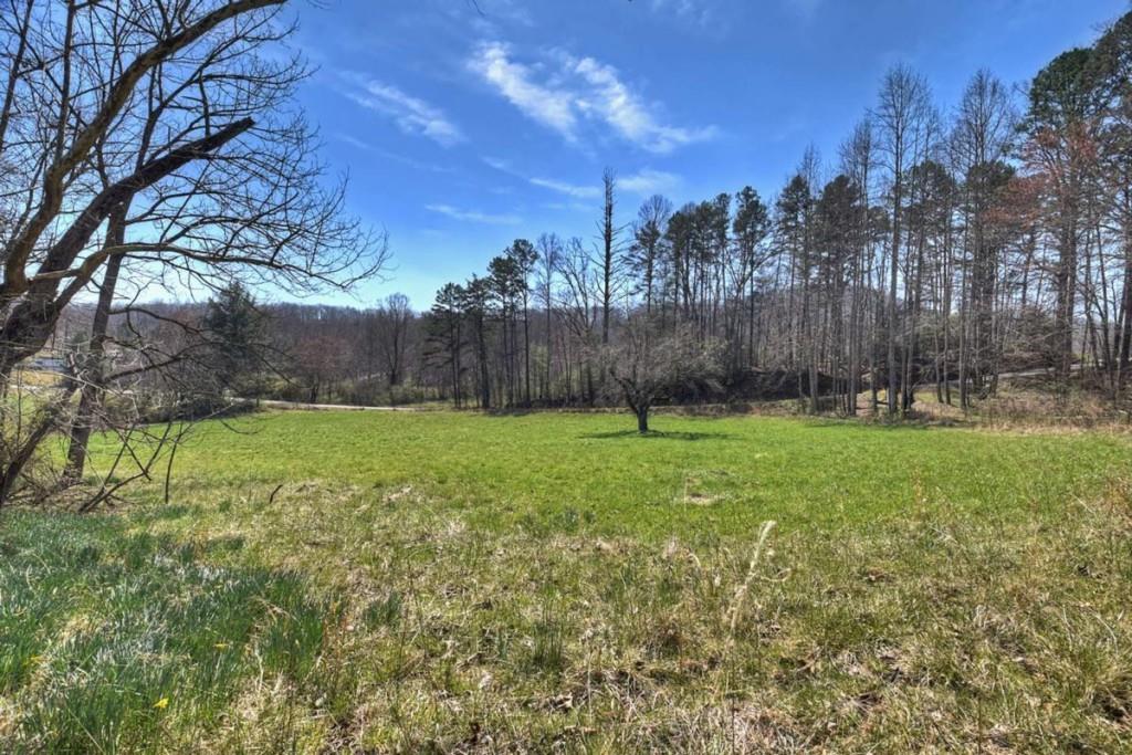 1489 Boy Scout Road Blairsville, GA 30512 - Photo 32 of 46
