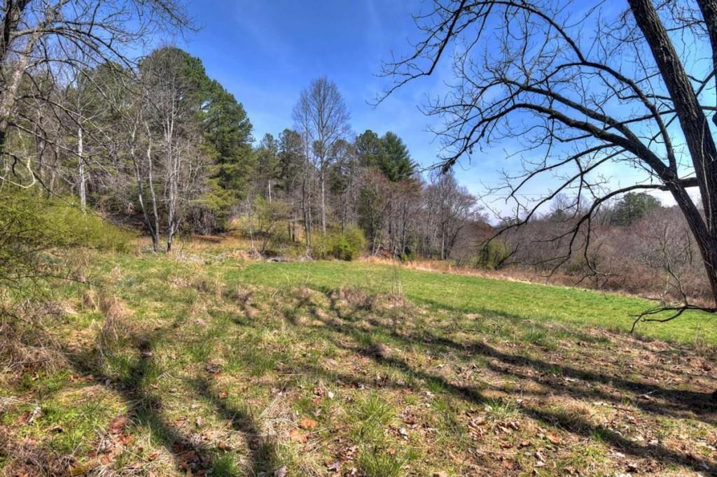 1489 Boy Scout Road Blairsville, GA 30512 - Photo 37 of 46