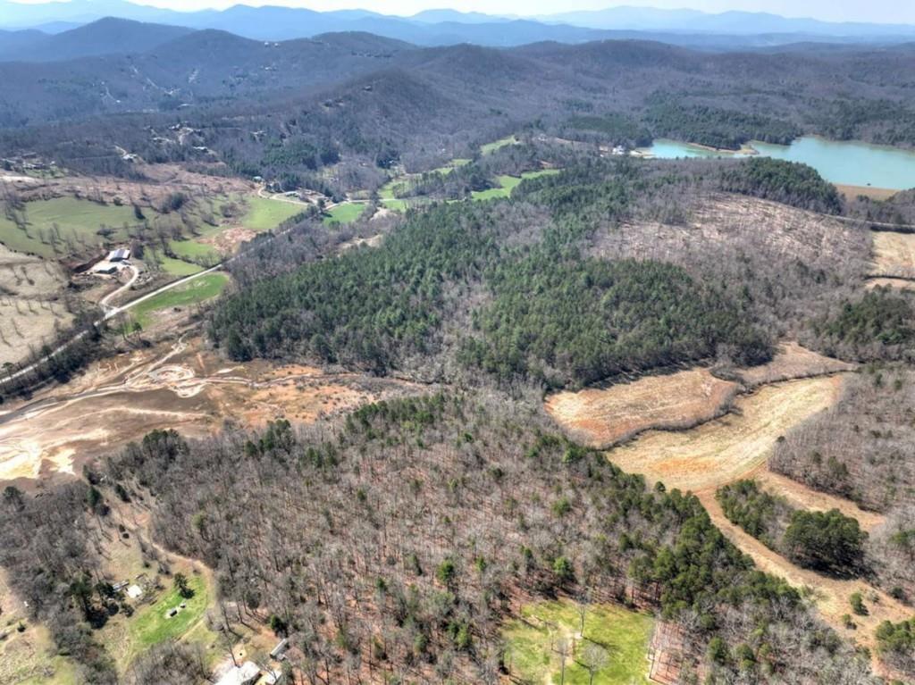 1489 Boy Scout Road Blairsville, GA 30512 - Photo 38 of 46