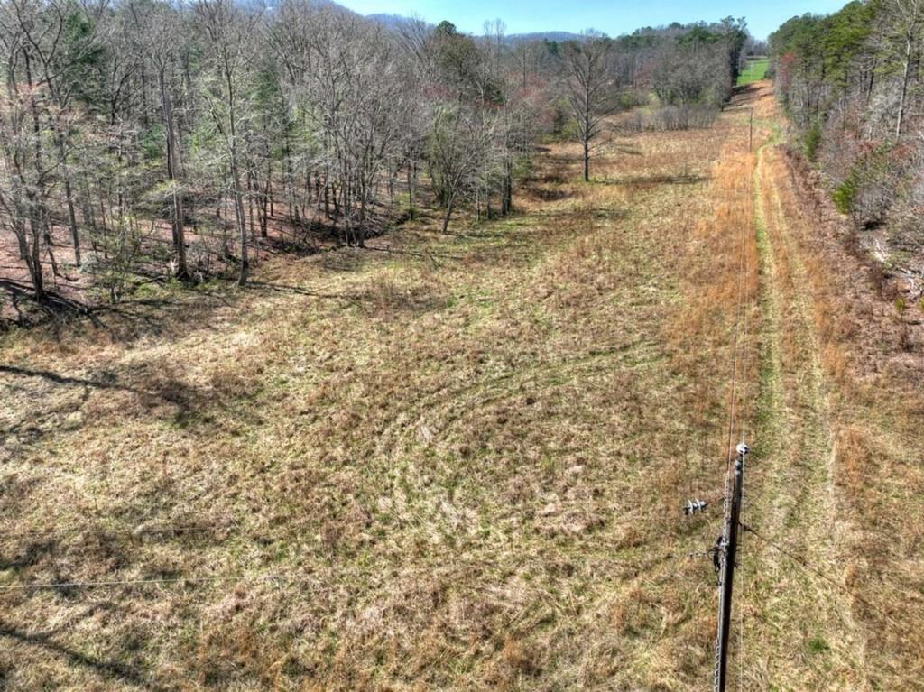 1489 Boy Scout Road Blairsville, GA 30512 - Photo 39 of 46