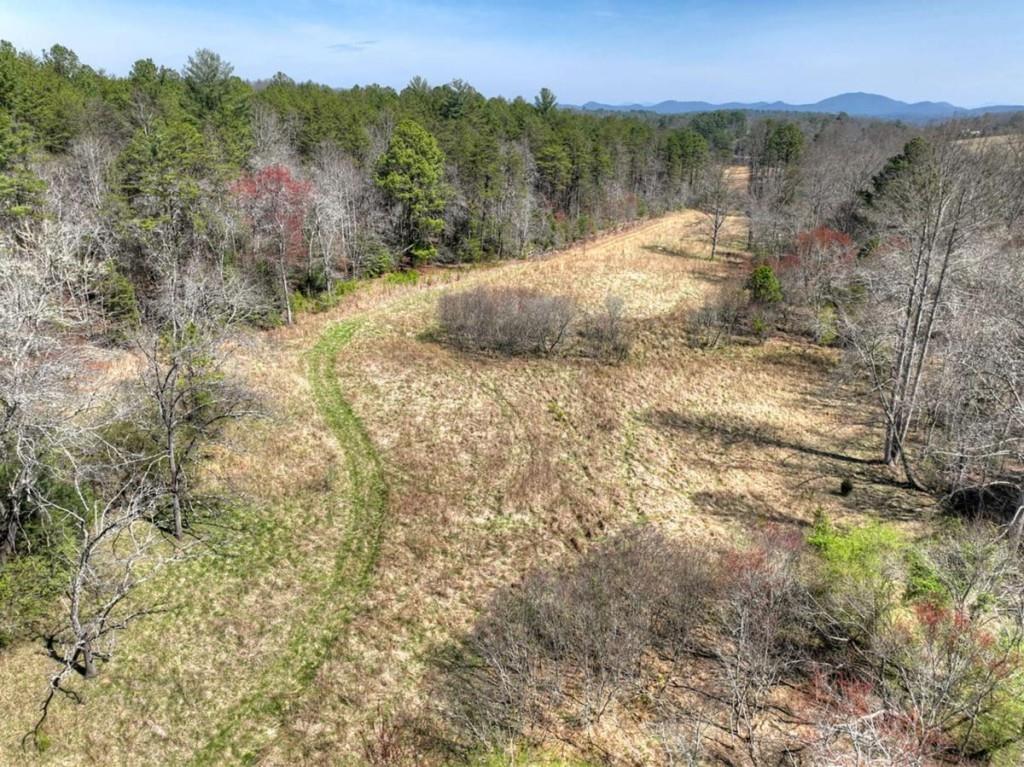 1489 Boy Scout Road Blairsville, GA 30512 - Photo 40 of 46