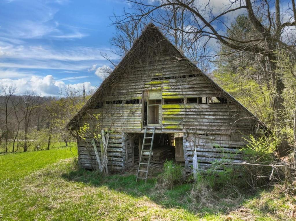 1489 Boy Scout Road Blairsville, GA 30512 - Photo 4 of 46