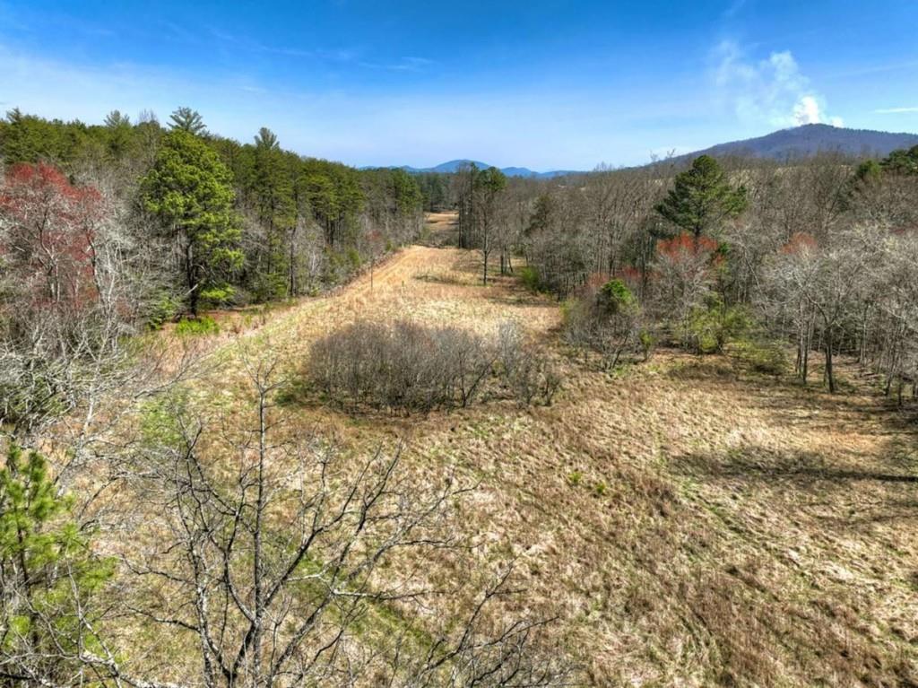 1489 Boy Scout Road Blairsville, GA 30512 - Photo 41 of 46