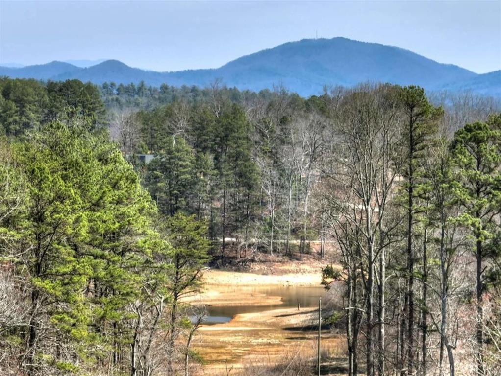 1489 Boy Scout Road Blairsville, GA 30512 - Photo 44 of 46