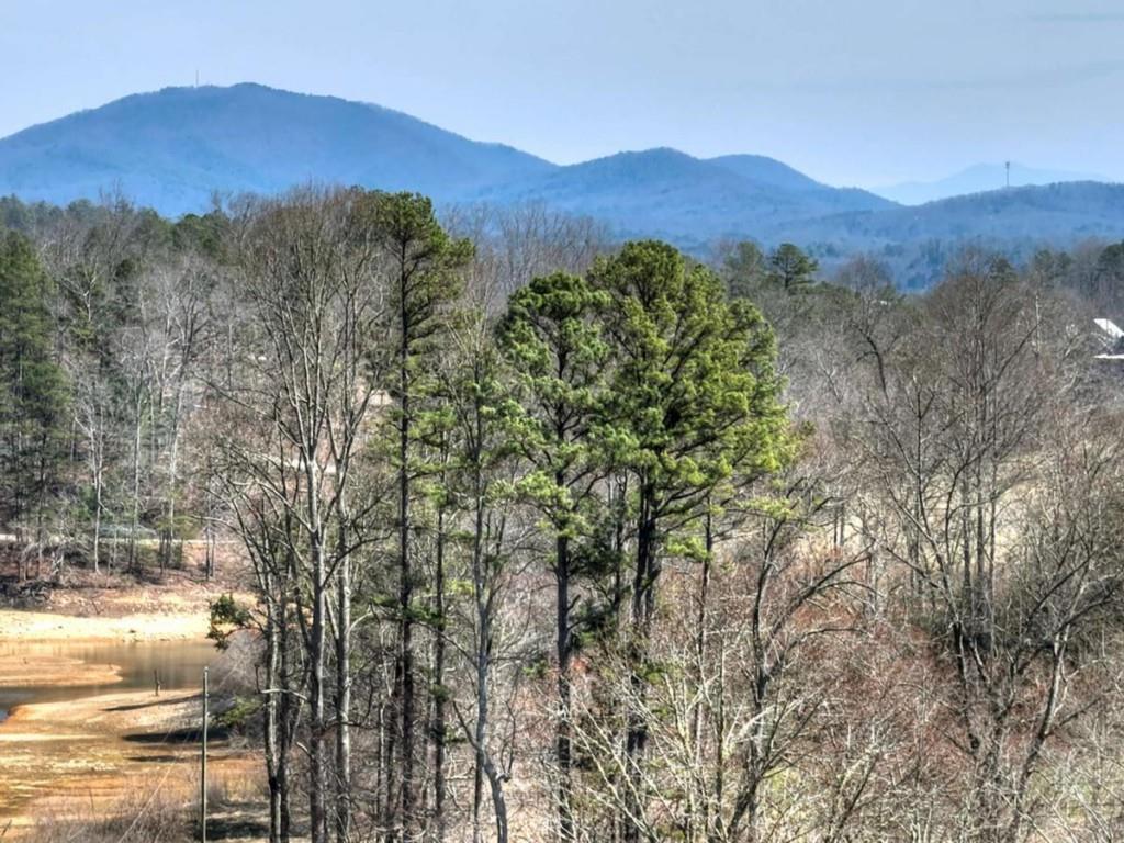 1489 Boy Scout Road Blairsville, GA 30512 - Photo 45 of 46