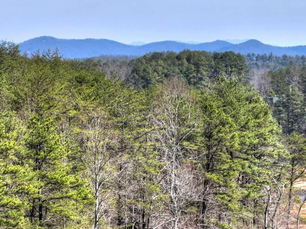 1489 Boy Scout Road Blairsville, GA 30512 - Photo 46 of 46