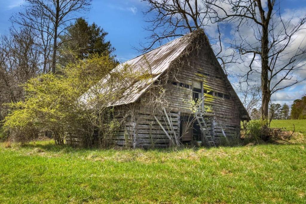 1489 Boy Scout Road Blairsville, GA 30512 - Photo 5 of 46