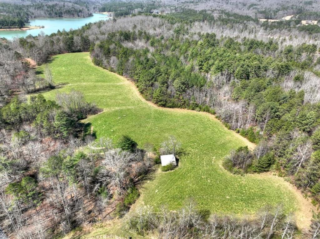 1489 Boy Scout Road Blairsville, GA 30512 - Photo 8 of 46