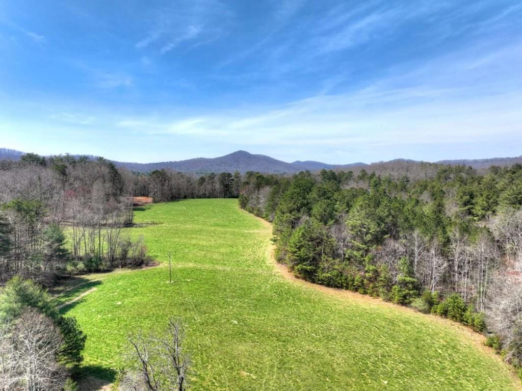 1489 Boy Scout Road Blairsville, GA 30512 - Photo 9 of 46