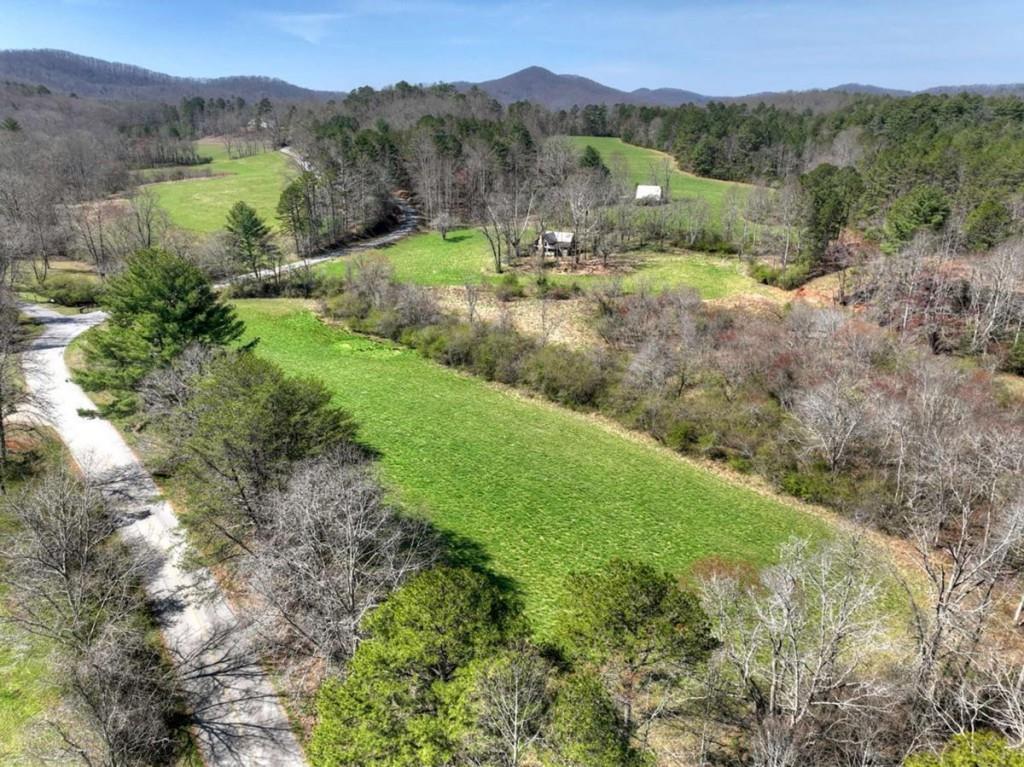 1489 Boy Scout Road Blairsville, GA 30512 - Photo 10 of 46