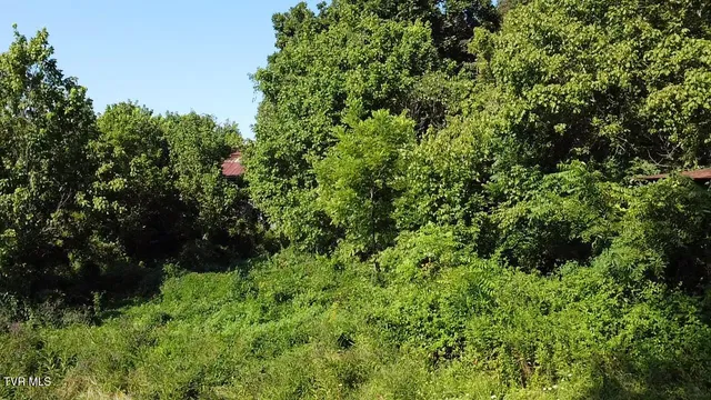 $165,000 | 10519 Fairview Road, Blackwater, VA 24221