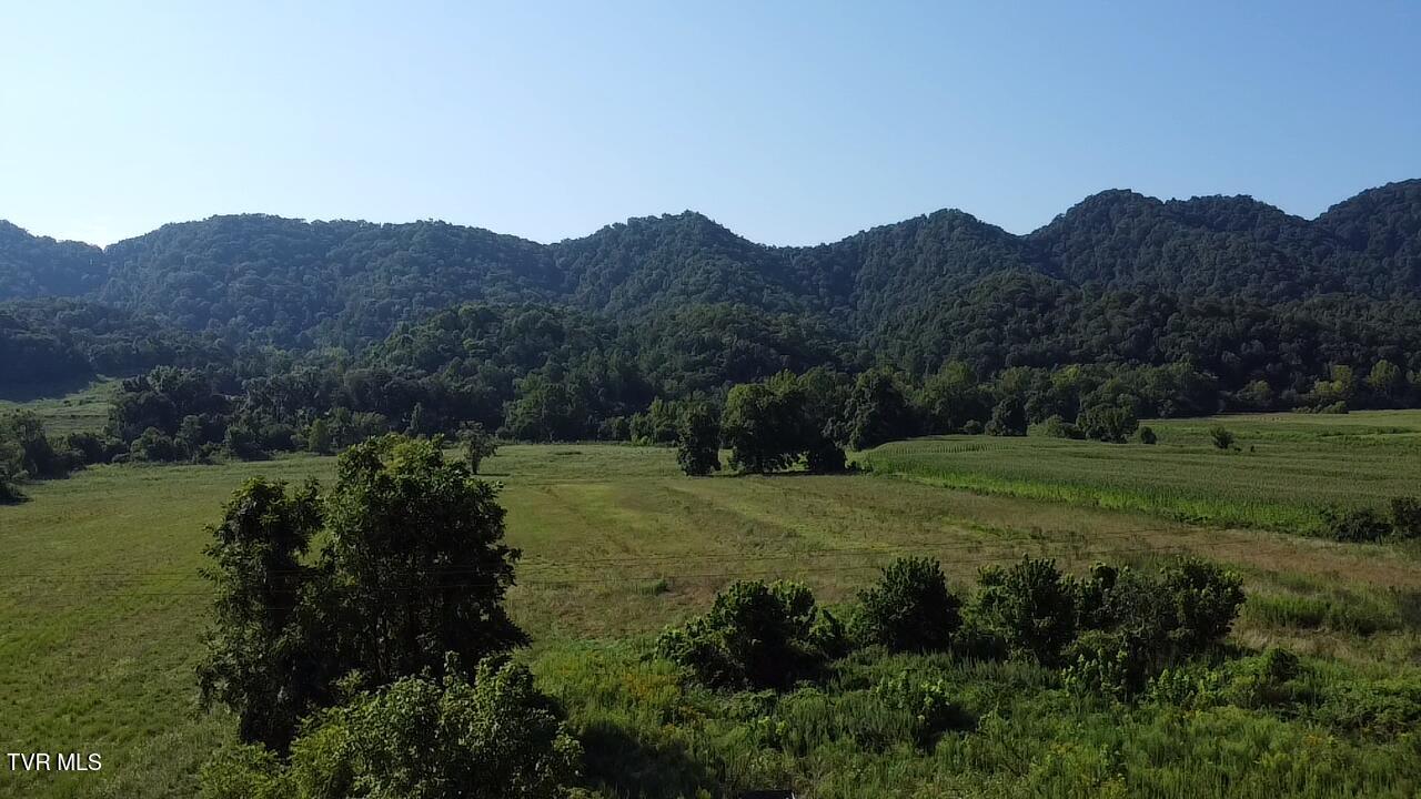 10519 Fairview Road Blackwater, VA 24221 - Photo 2 of 13 2025-08-16-10-11-32-492