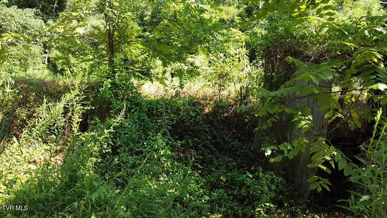 10519 Fairview Road Blackwater, VA 24221 - Photo 6 of 13 2025-08-16-10-15-33-475