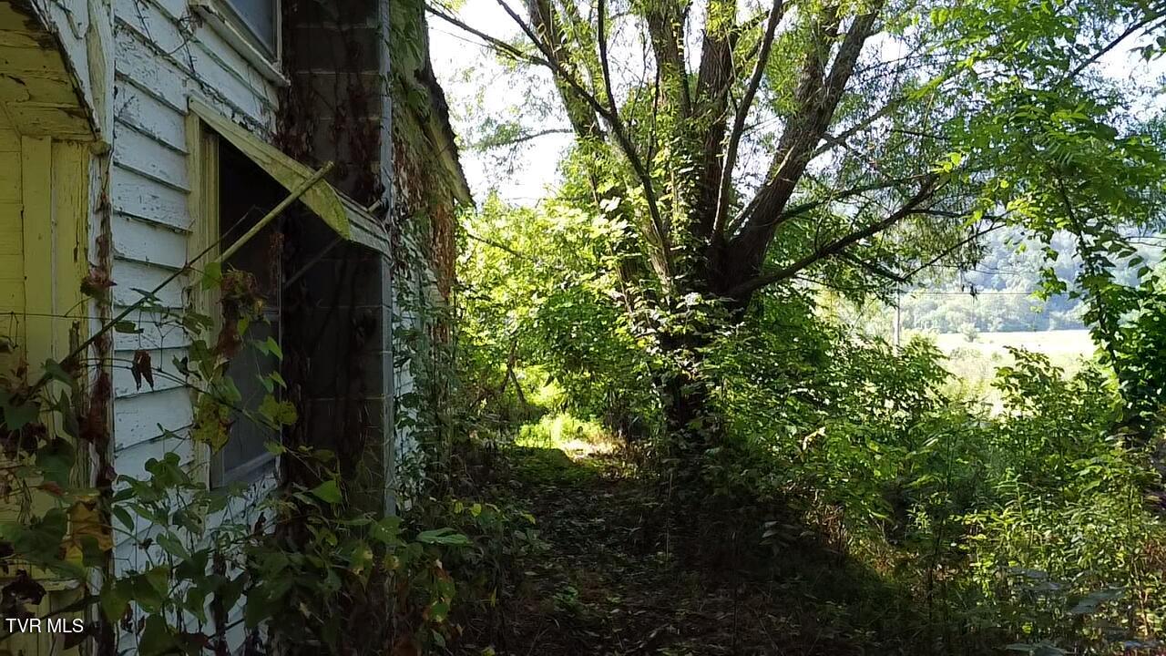 10519 Fairview Road Blackwater, VA 24221 - Photo 8 of 13 2025-08-16-10-17-08-936