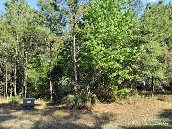 $125,000 | Tbd Northwest Tbd Nw 141st Avenue, Williston, FL 32696