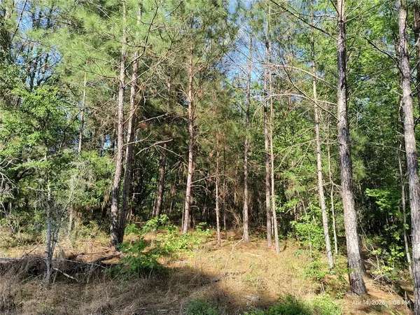 $125,000 | Tbd Northwest Tbd Nw 141st Avenue, Williston, FL 32696